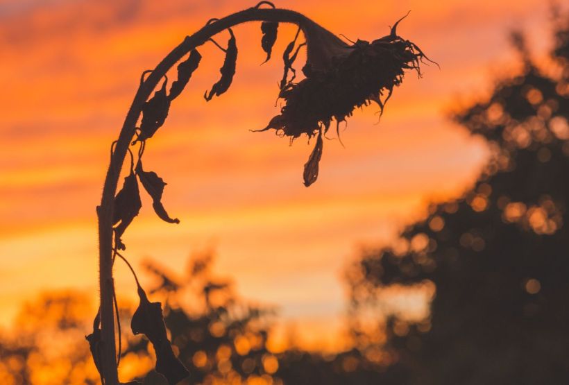 Photo by JJ Thompson on Unsplash