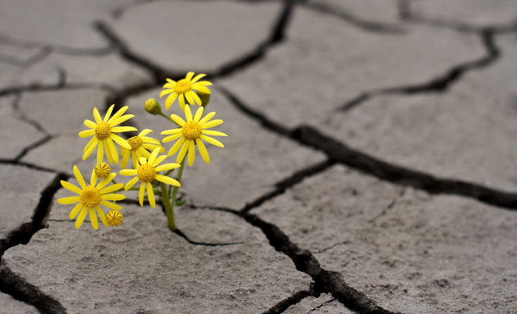 psihoterapija, psihoterapija online, online psihoterapija, anksioznost, depresija, savetovanje, psihologija, psiholog, mentalno zdravlje, otpornost